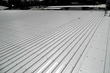 Load image into Gallery viewer, ZINCALUME® Roofing TRIMDEK® Sheets .42 bmt